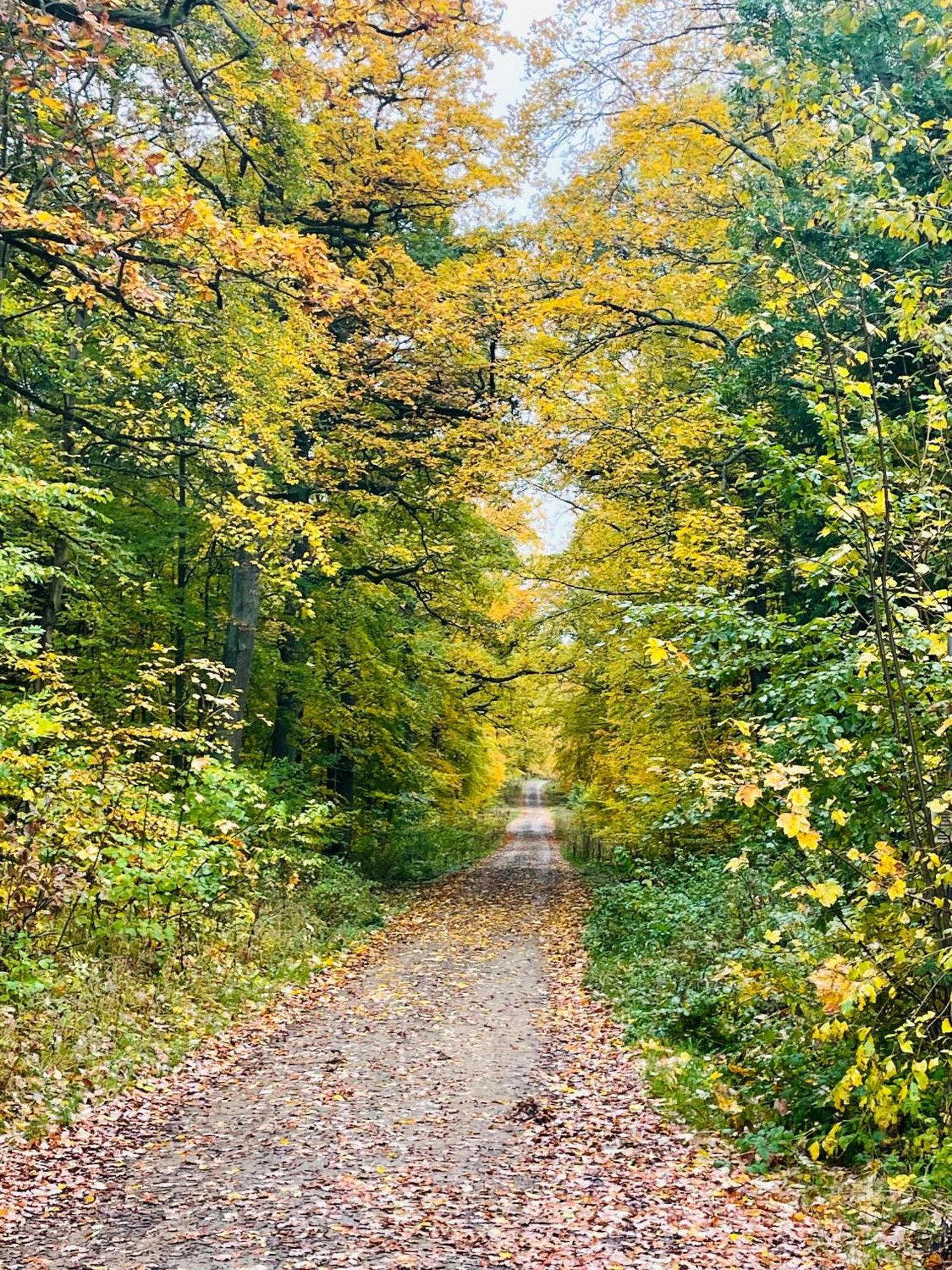 Holla Die Waldfee Konigerode Exterior foto